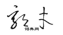 駱恆光郭才草書個性簽名怎么寫