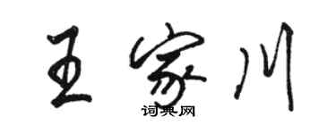 駱恆光王家川行書個性簽名怎么寫