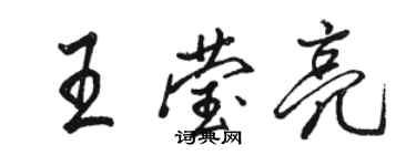 駱恆光王瑩亮行書個性簽名怎么寫