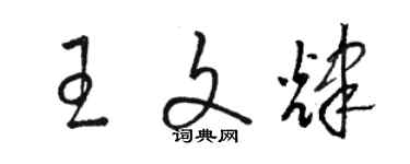 駱恆光王文輝草書個性簽名怎么寫