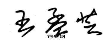 朱錫榮王孟芝草書個性簽名怎么寫