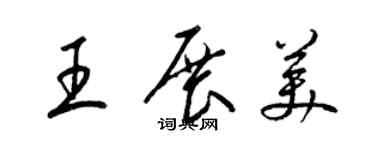 梁錦英王展美草書個性簽名怎么寫