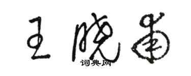 駱恆光王曉甫草書個性簽名怎么寫