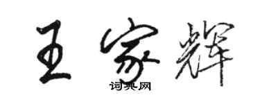 駱恆光王家輝行書個性簽名怎么寫