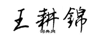 王正良王耕錦行書個性簽名怎么寫