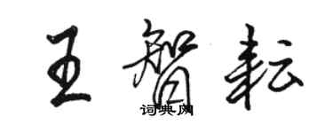 駱恆光王智耘行書個性簽名怎么寫