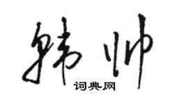 駱恆光韓帥草書個性簽名怎么寫