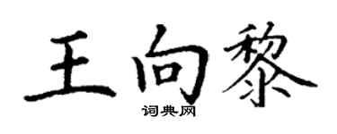 丁謙王向黎楷書個性簽名怎么寫