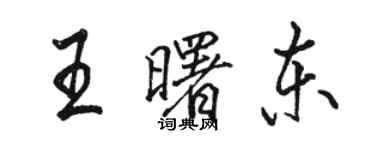 駱恆光王曙東行書個性簽名怎么寫