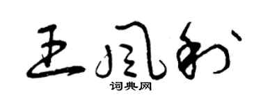 曾慶福王風利草書個性簽名怎么寫