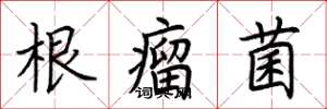 荊霄鵬根瘤菌楷書怎么寫