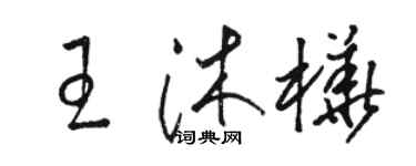 駱恆光王沐樺草書個性簽名怎么寫