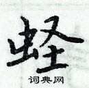 周炳元寫的硬筆楷書蟶