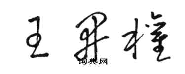 駱恆光王開權草書個性簽名怎么寫