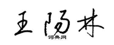 梁錦英王陽林草書個性簽名怎么寫