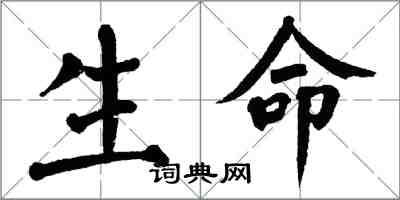 翁闓運生命楷書怎么寫