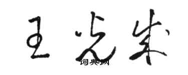 駱恆光王光成草書個性簽名怎么寫