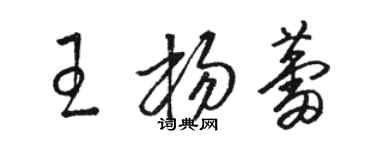 駱恆光王楊蕾草書個性簽名怎么寫