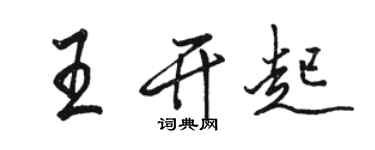 駱恆光王開起行書個性簽名怎么寫