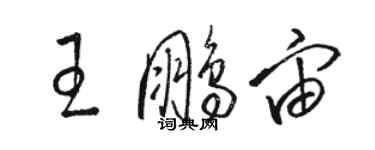 駱恆光王鵬宙草書個性簽名怎么寫