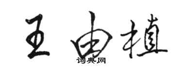 駱恆光王由植行書個性簽名怎么寫
