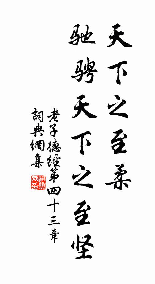 老子天下之至柔,馳騁天下之至堅。書法作品欣賞