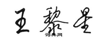 駱恆光王黎星行書個性簽名怎么寫