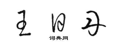 駱恆光王日丹草書個性簽名怎么寫