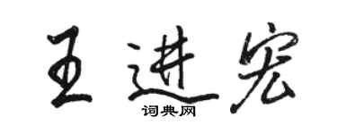 駱恆光王進宏行書個性簽名怎么寫