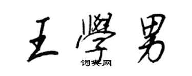 王正良王學男行書個性簽名怎么寫