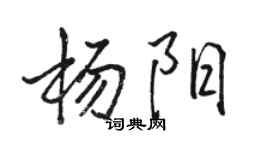 駱恆光楊陽行書個性簽名怎么寫