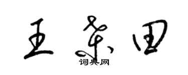 梁錦英王桑田草書個性簽名怎么寫