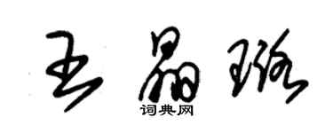 朱錫榮王晶璐草書個性簽名怎么寫