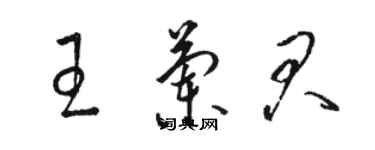 駱恆光王蘭君草書個性簽名怎么寫