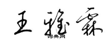 梁錦英王雅霖草書個性簽名怎么寫