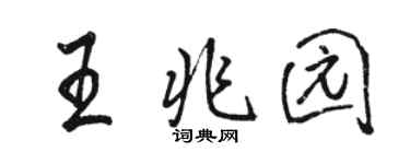 駱恆光王兆園行書個性簽名怎么寫