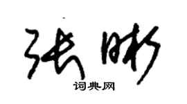 朱錫榮張晰草書個性簽名怎么寫