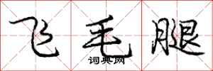 龐中華飛毛腿行書怎么寫