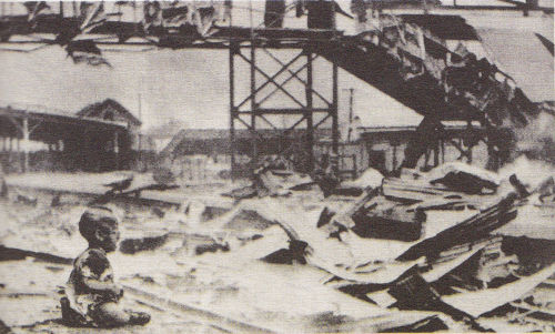 呼喚和平_呼喚和平作文