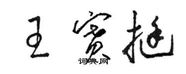 駱恆光王賽挺草書個性簽名怎么寫