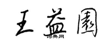 王正良王益園行書個性簽名怎么寫