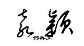 梁錦英袁穎草書個性簽名怎么寫