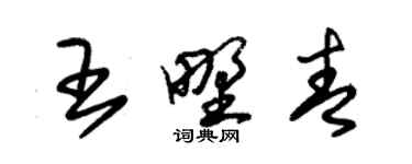 朱錫榮王野青草書個性簽名怎么寫