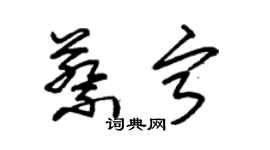 朱錫榮蔡寧草書個性簽名怎么寫