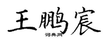 丁謙王鵬宸楷書個性簽名怎么寫
