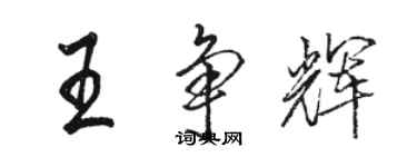 駱恆光王爭輝行書個性簽名怎么寫