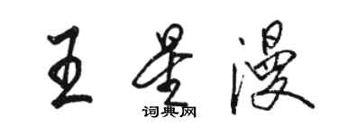 駱恆光王星漫行書個性簽名怎么寫