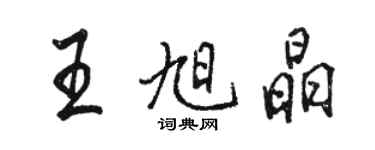 駱恆光王旭晶行書個性簽名怎么寫