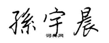 王正良孫宇晨行書個性簽名怎么寫