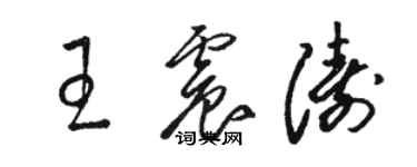 駱恆光王震濤草書個性簽名怎么寫